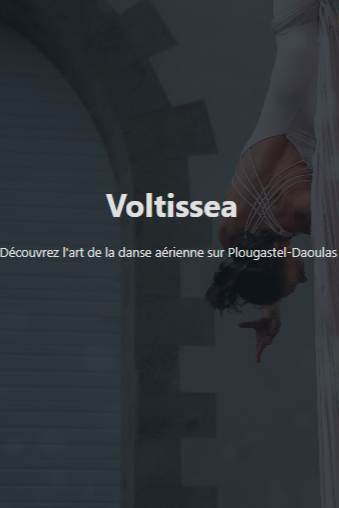 Capture du site web de Voltissea en cours de construction
